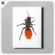 1-35_Insects-Unlocked-Project_canvas