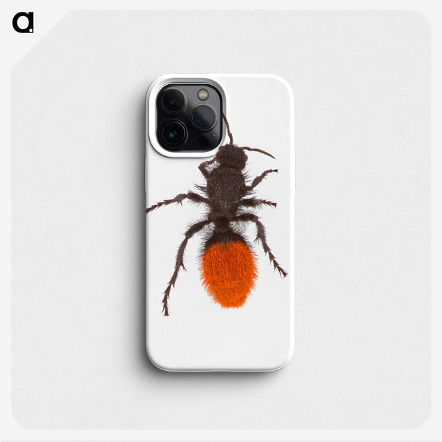 1-35_Insects-Unlocked-Project_phone