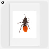 1-35_Insects-Unlocked-Project_picture