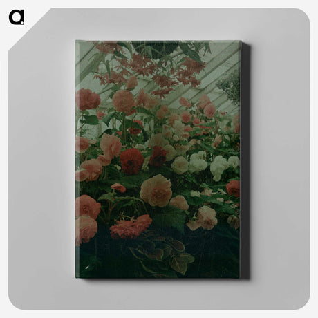 1-35_James-Walter-Chapman-Taylor_canvas