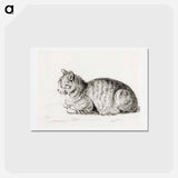 アートポストカード-Lying cat - ジャン ベルナール Postcard.