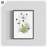 1-35_John-Gould_blk-crop