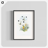 1-35_John-Gould_blk