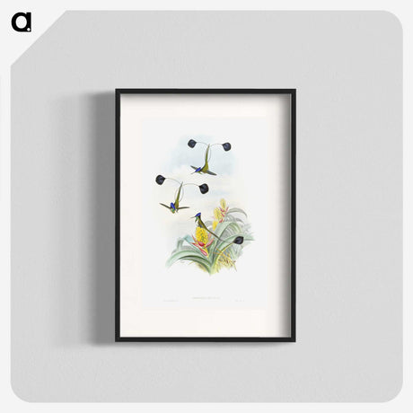 1-35_John-Gould_blk