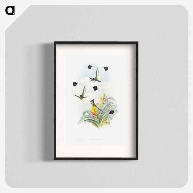 1-35_John-Gould_blk