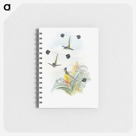 1-35_John-Gould_memo