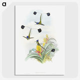 1-35_John-Gould_picture-crop