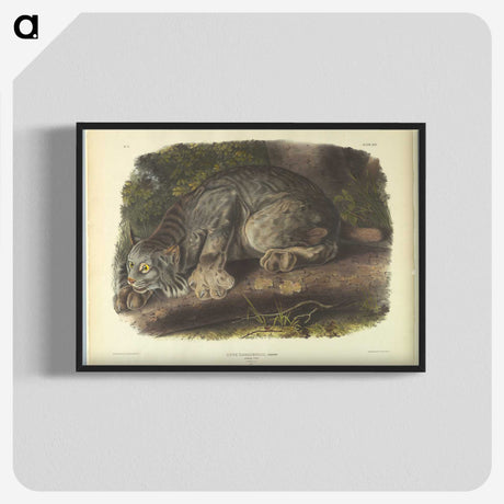 1-35_John-James-Audubon_blk-crop