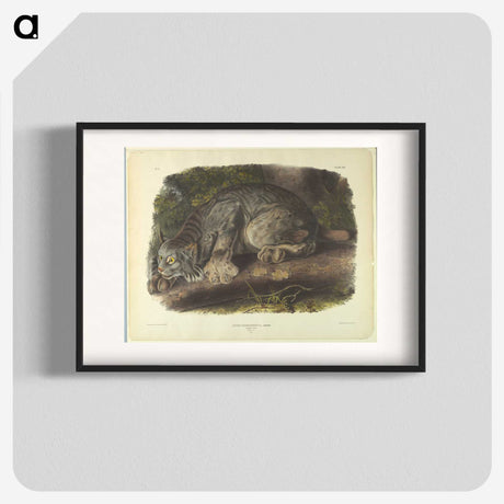 1-35_John-James-Audubon_blk