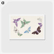アートポストカード-Vintage butterfly - 神坂 雪佳 Postcard.