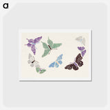 アートポストカード-Vintage butterfly - 神坂 雪佳 Postcard.