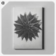 1-35_Karl-Blossfeldt_canvas