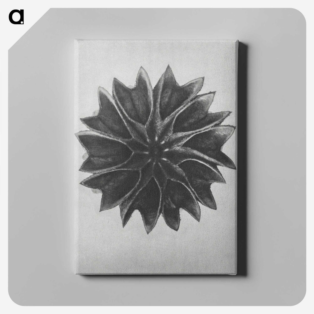 1-35_Karl-Blossfeldt_canvas