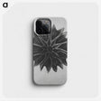 1-35_Karl-Blossfeldt_phone