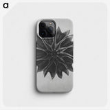1-35_Karl-Blossfeldt_phone