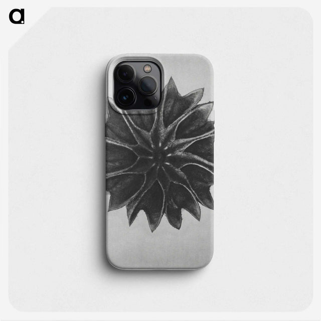 1-35_Karl-Blossfeldt_phone