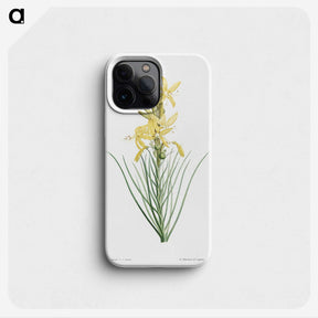 1-35_La-Botanique_phone