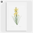 1-35_La-Botanique_picture