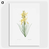 1-35_La-Botanique_picture