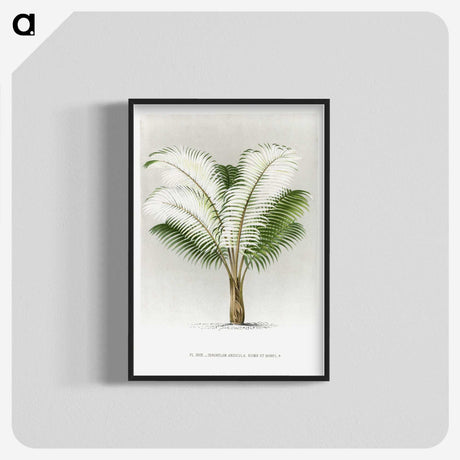 1-35_Les-Palmiers-Histoire-Iconographique_blk-crop