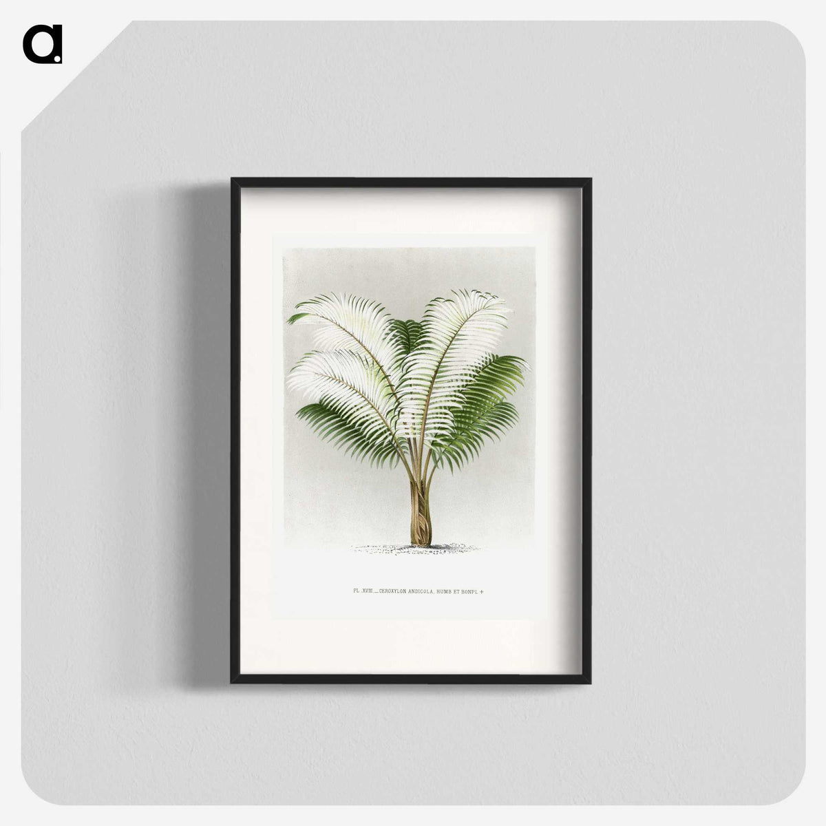 1-35_Les-Palmiers-Histoire-Iconographique_blk
