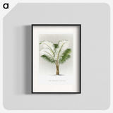 1-35_Les-Palmiers-Histoire-Iconographique_blk