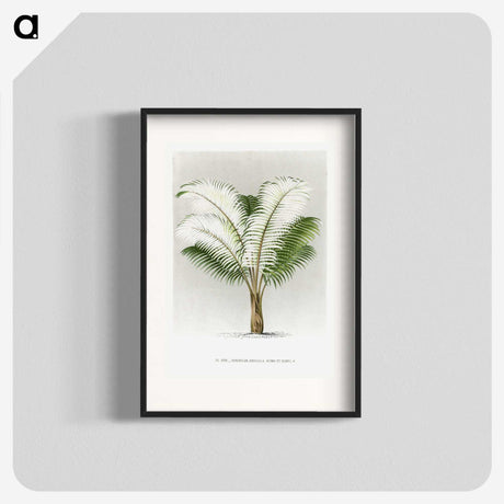 1-35_Les-Palmiers-Histoire-Iconographique_blk