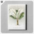 1-35_Les-Palmiers-Histoire-Iconographique_canvas