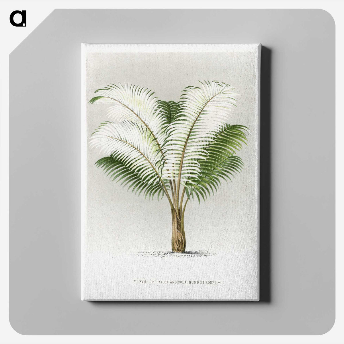 1-35_Les-Palmiers-Histoire-Iconographique_canvas