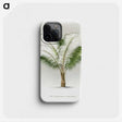1-35_Les-Palmiers-Histoire-Iconographique_phone