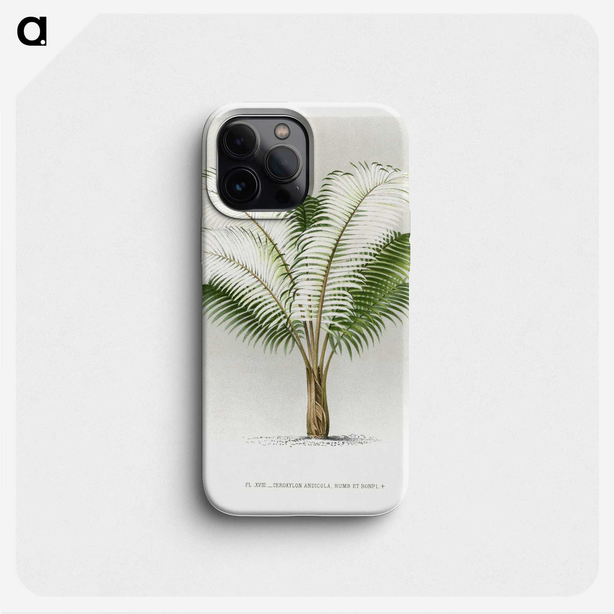 1-35_Les-Palmiers-Histoire-Iconographique_phone