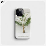 1-35_Les-Palmiers-Histoire-Iconographique_phone