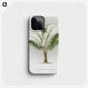 1-35_Les-Palmiers-Histoire-Iconographique_phone