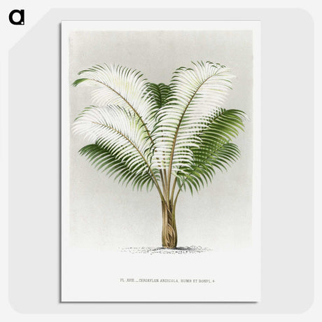 1-35_Les-Palmiers-Histoire-Iconographique_picture-crop