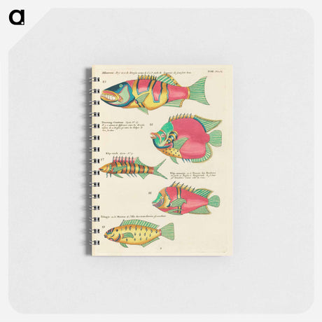アートメモ帳-Moluccan Fishes
 - ルイ ルナール Memo.