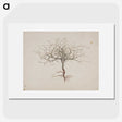 1-35_Luigi-Balugani_picture