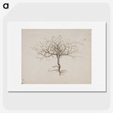 1-35_Luigi-Balugani_picture