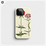 1-35_Maria-Sibylla-Merian_phone