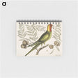 1-35_Mark-Catesby_memo