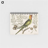 1-35_Mark-Catesby_memo