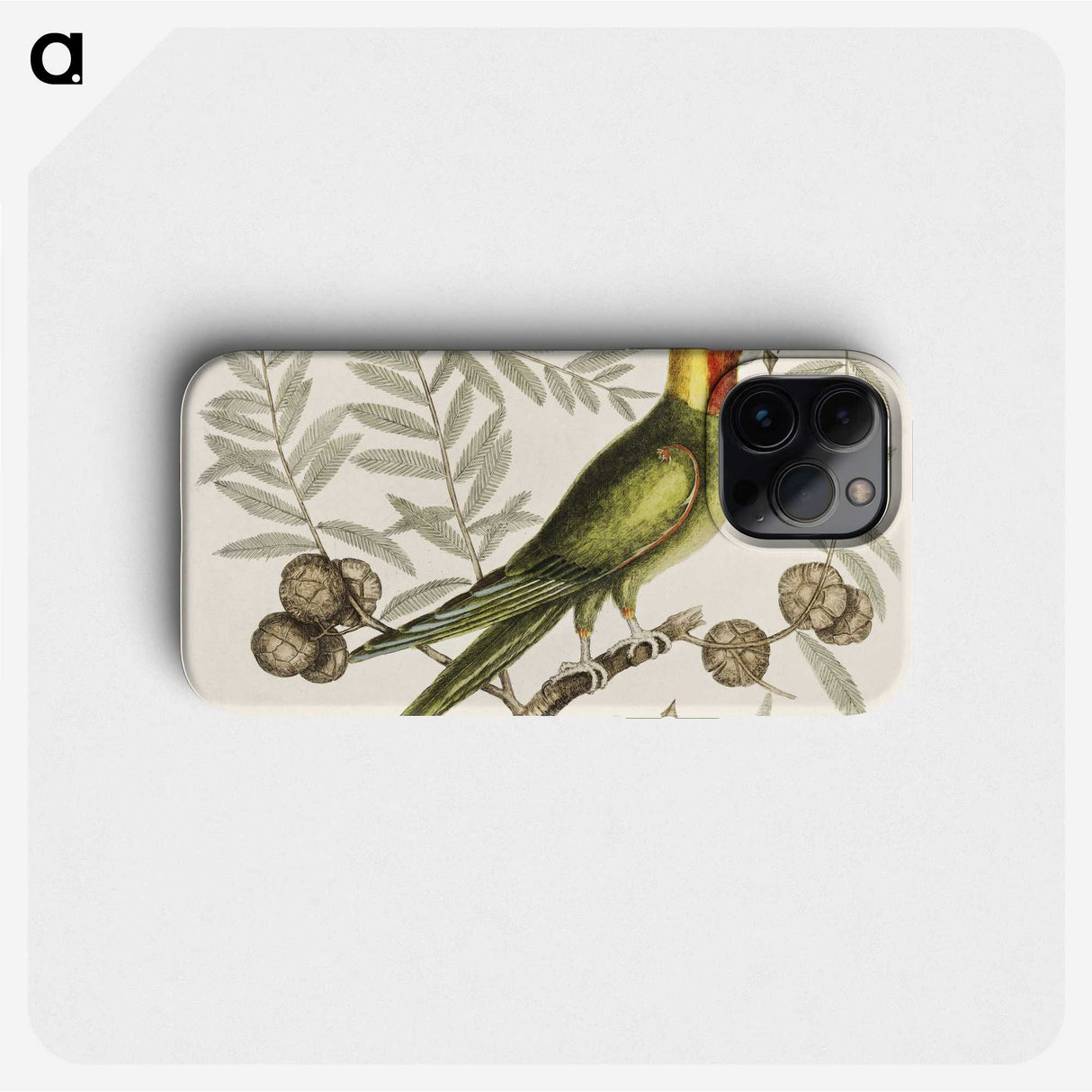 1-35_Mark-Catesby_phone