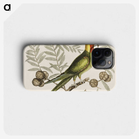 1-35_Mark-Catesby_phone