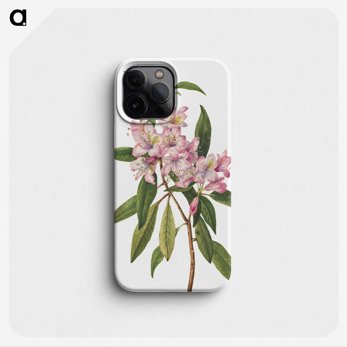 1-35_Mary-Vaux-Walcott_phone