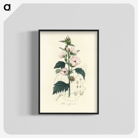 1-35_Medical-Botany_blk-crop