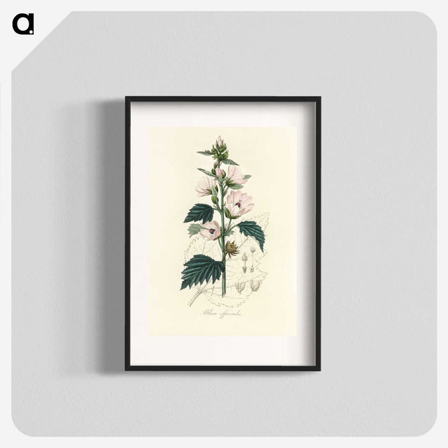 1-35_Medical-Botany_blk
