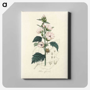 1-35_Medical-Botany_canvas