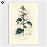1-35_Medical-Botany_picture-crop