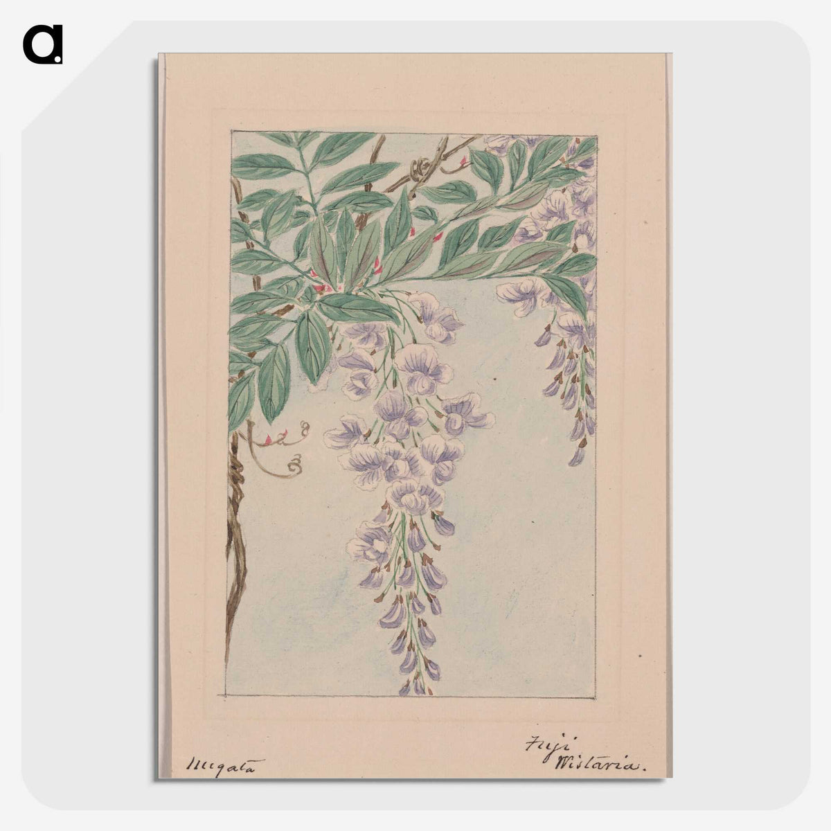 1-35_Megata-Morikaga_picture-crop