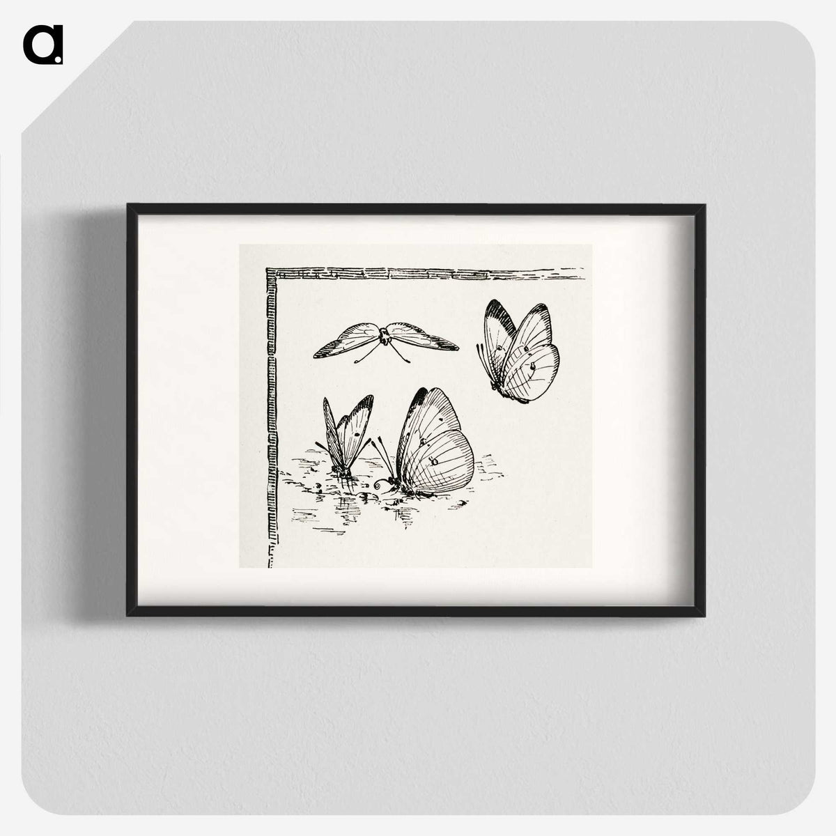 1-35_Moths-and-Butterflies-of-the-United-States_blk