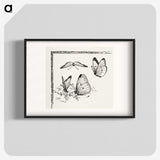 1-35_Moths-and-Butterflies-of-the-United-States_blk
